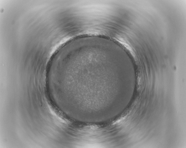 X0000088880492200706221818