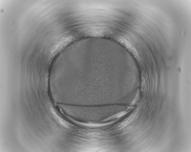 X0000088880493200706221818