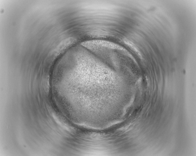 X0000088880494200706221818