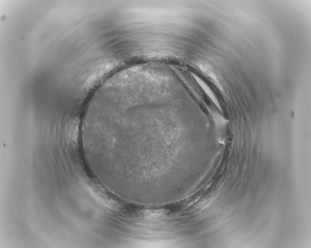 X0000088880495200706221818