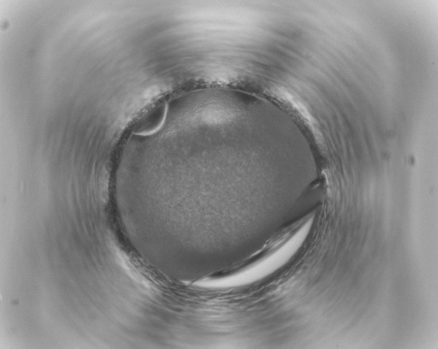 X0000088880496200706221818