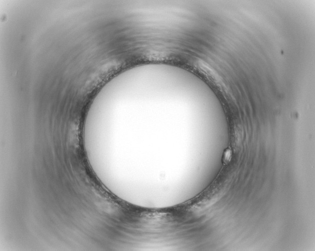 X0000088880497200706221818