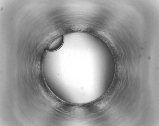 X0000088880498200706221818