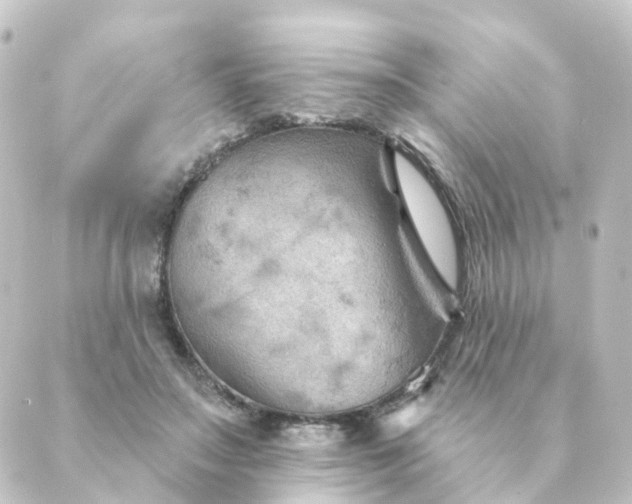 X0000088880499200706221818