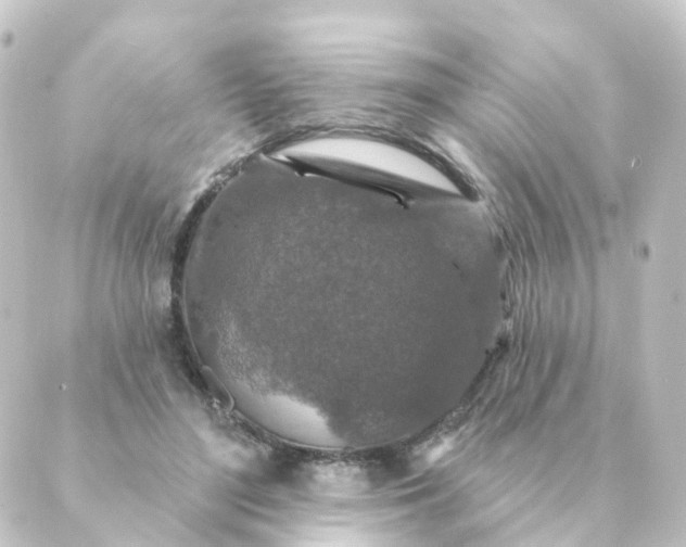 X0000088880500200706221818