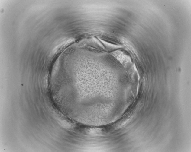 X0000088880501200706221818