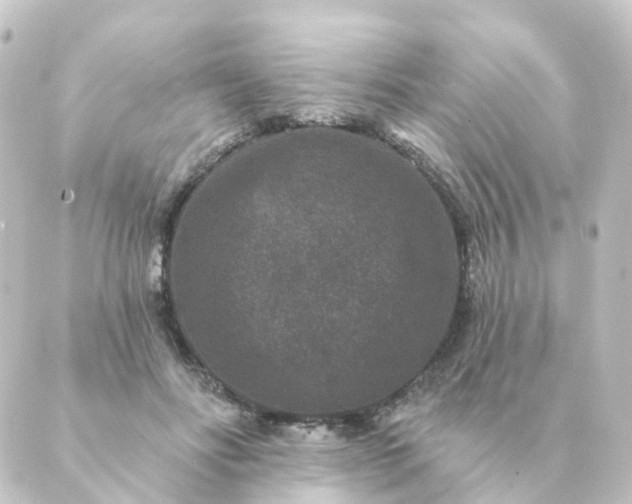 X0000088880502200706221818