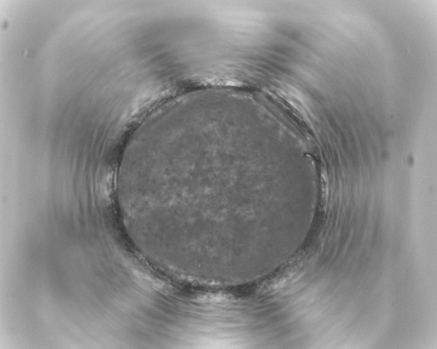 X0000088880503200706221818