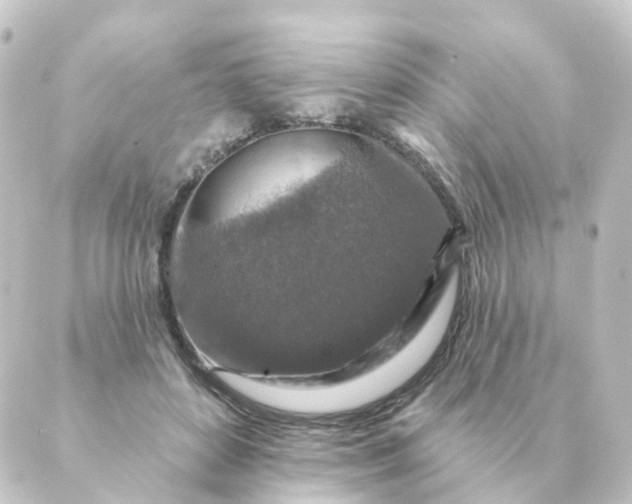 X0000088880504200706221818