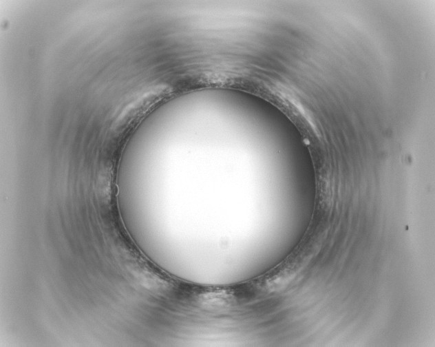 X0000088880505200706221818