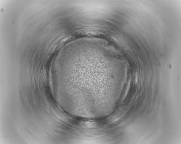 X0000088880506200706221818