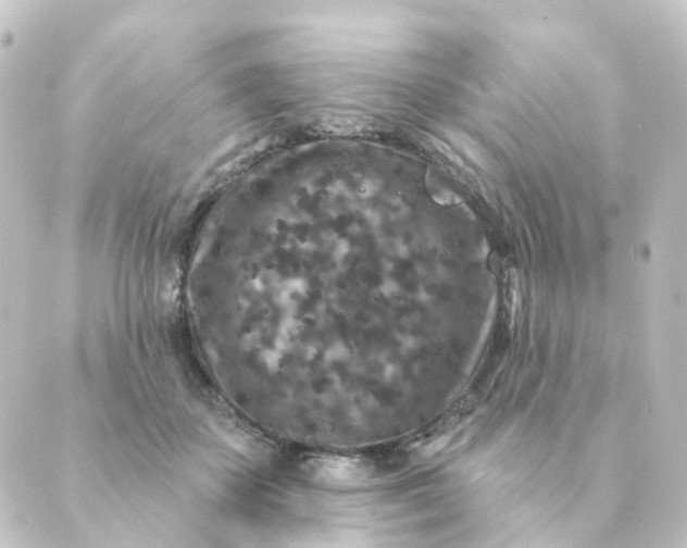 X0000088880507200706221818