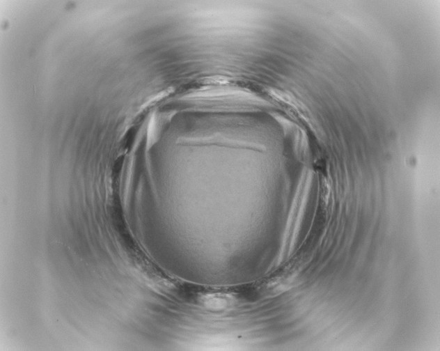 X0000088880508200706221818