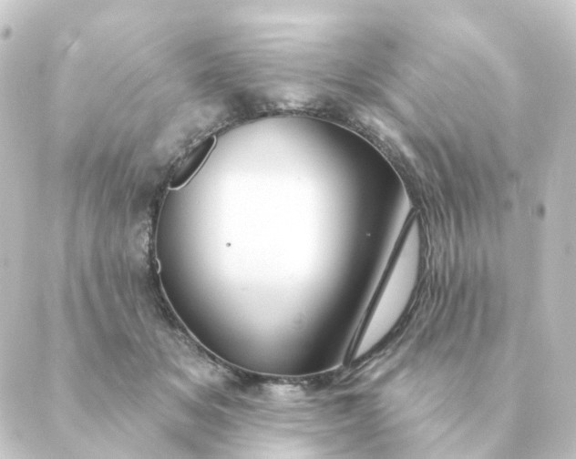 X0000088880509200706221818