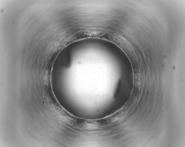 X0000088880510200706221818