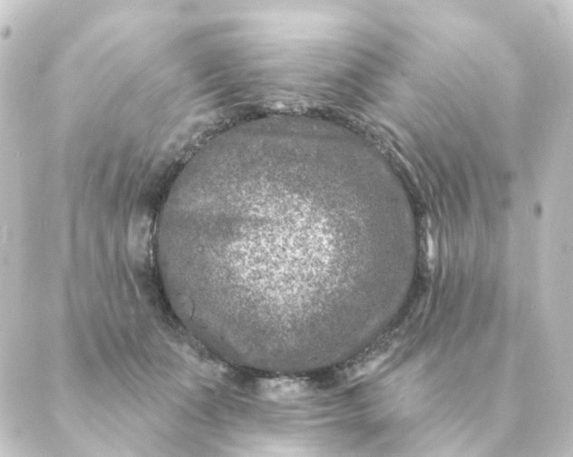 X0000088880511200706221818