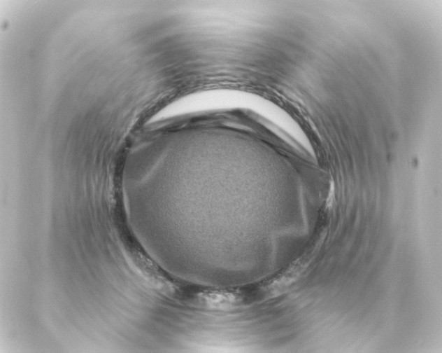 X0000088880512200706221818