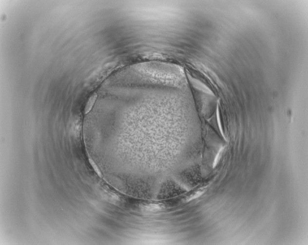 X0000088880513200706221818