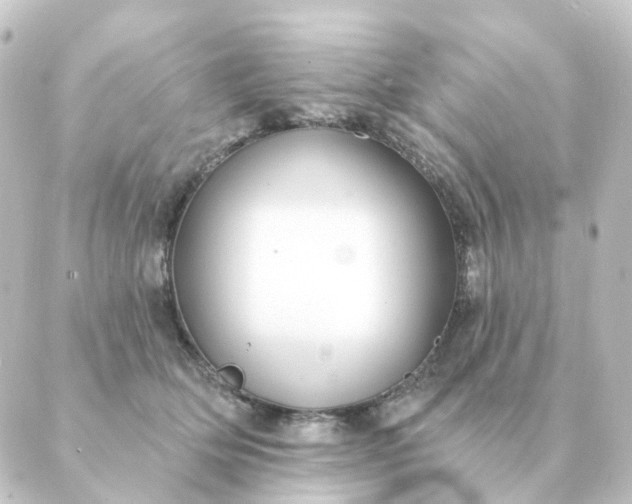 X0000088880514200706221818