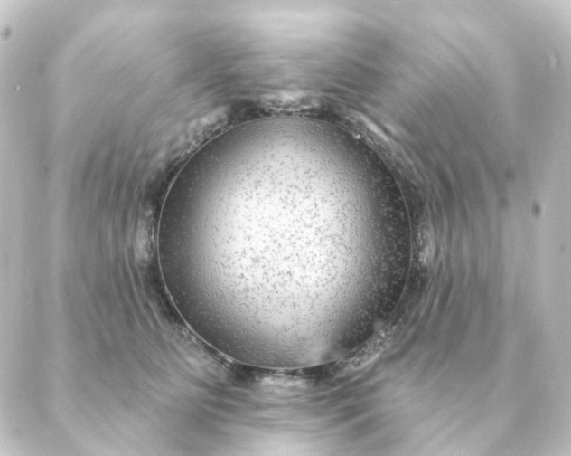 X0000088880515200706221818