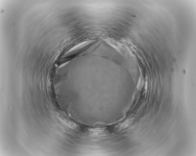 X0000088880516200706221818