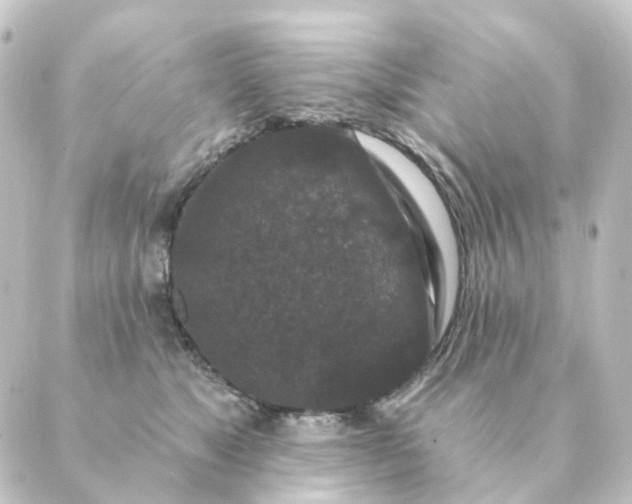 X0000088880517200706221818