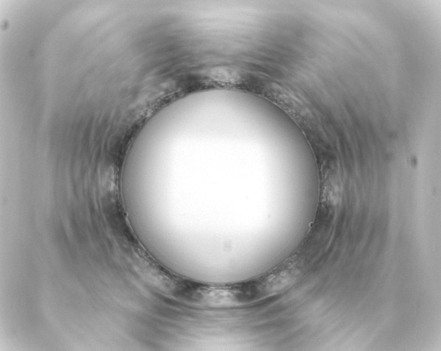 X0000088880518200706221818