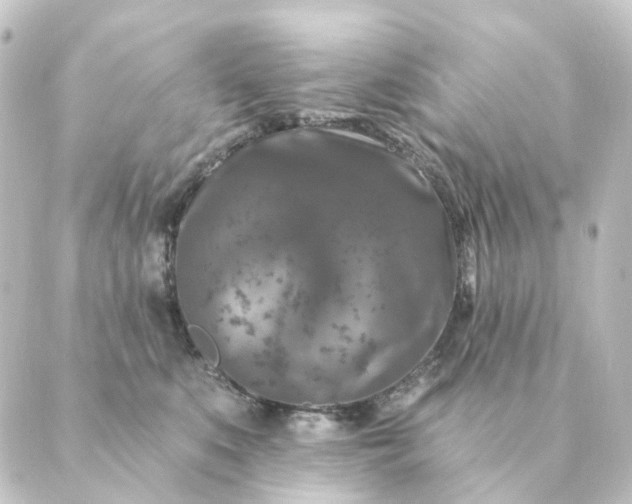 X0000088880519200706221818