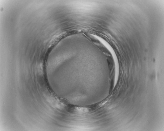 X0000088880520200706221818