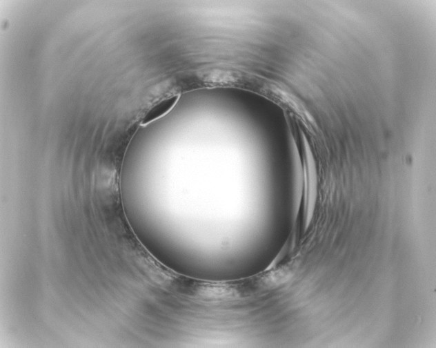 X0000088880521200706221818