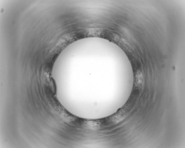 X0000088880522200706221818