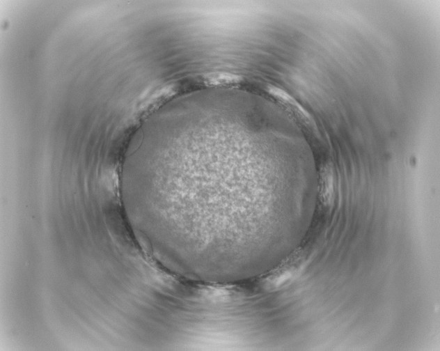 X0000088880523200706221818