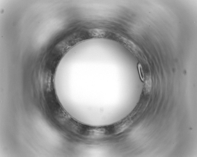 X0000088880525200706221817