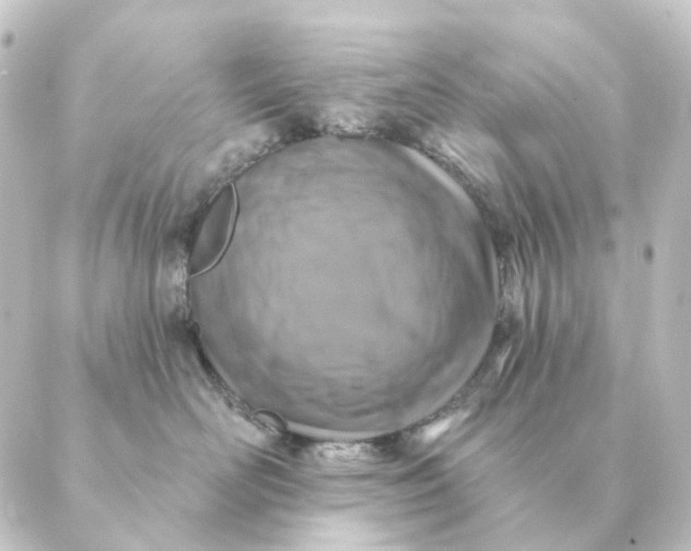 X0000088880526200706221817