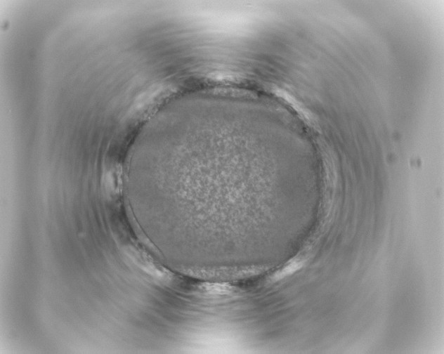 X0000088880528200706221817