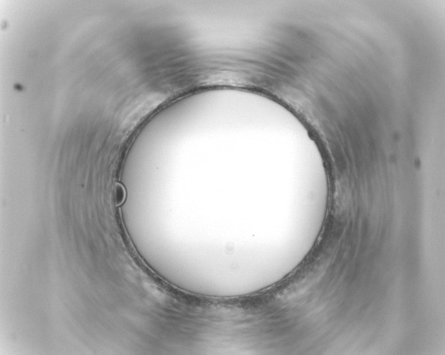 X0000088880529200706221817