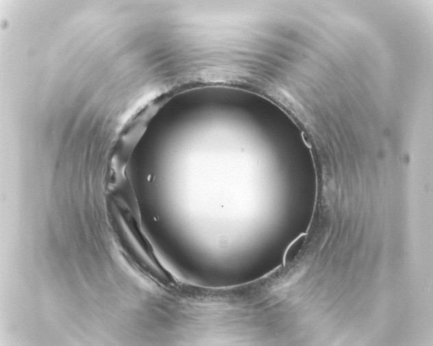 X0000088880530200706221817