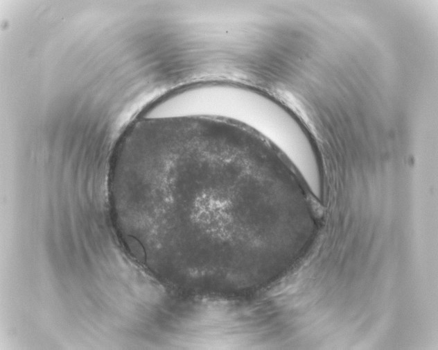 X0000088880531200706221817