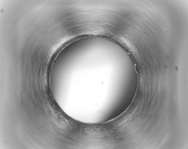 X0000088880532200706221817