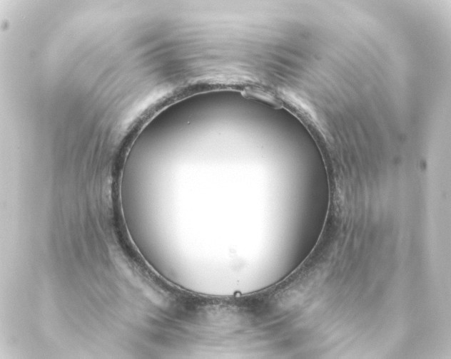 X0000088880535200706221817