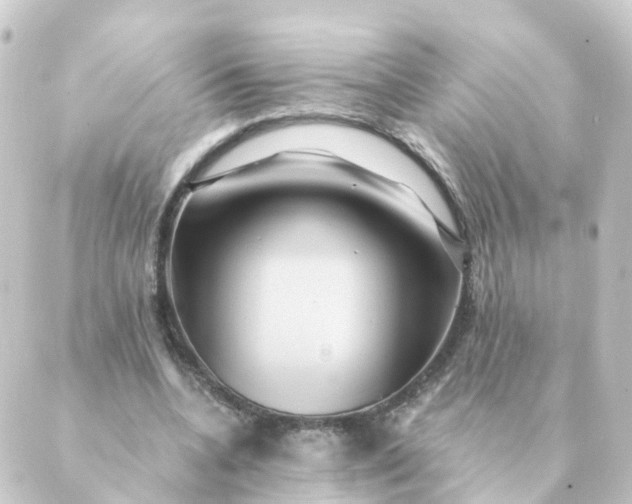 X0000088880536200706221817