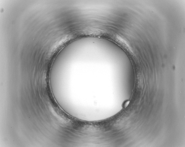 X0000088880538200706221817