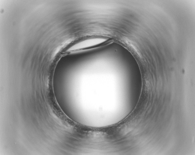 X0000088880539200706221817