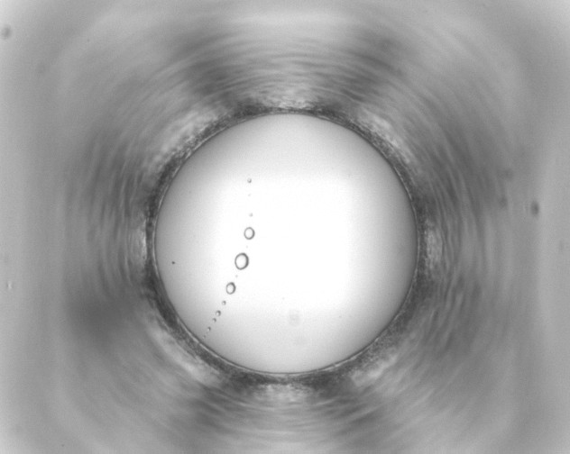 X0000088880541200706221817