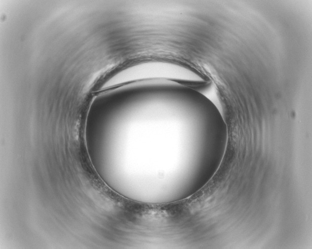 X0000088880543200706221817