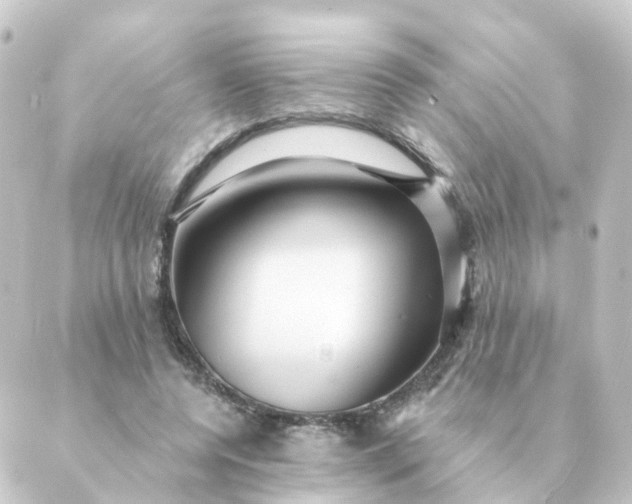 X0000088880544200706221817