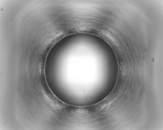 X0000088880546200706221817