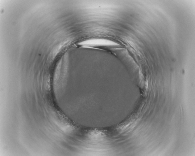 X0000088880547200706221817