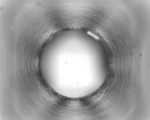 X0000088880548200706221817