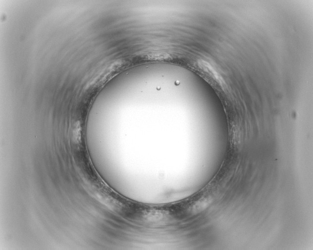 X0000088880549200706221817